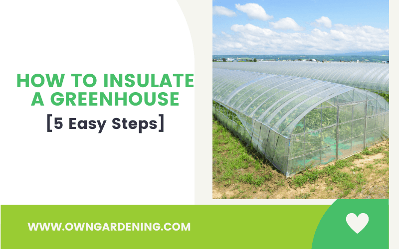 How to Insulate a Greenhouse-min