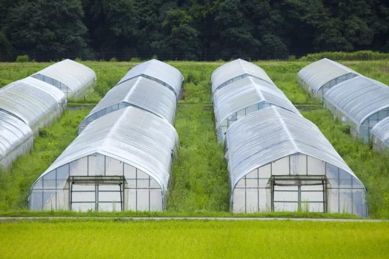 How to Secure a Plastic Greenhouse [8 Best Ways] Own Gardening