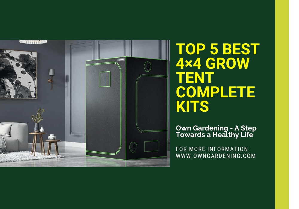 Best 4x4 Grow Tent Complete Kit