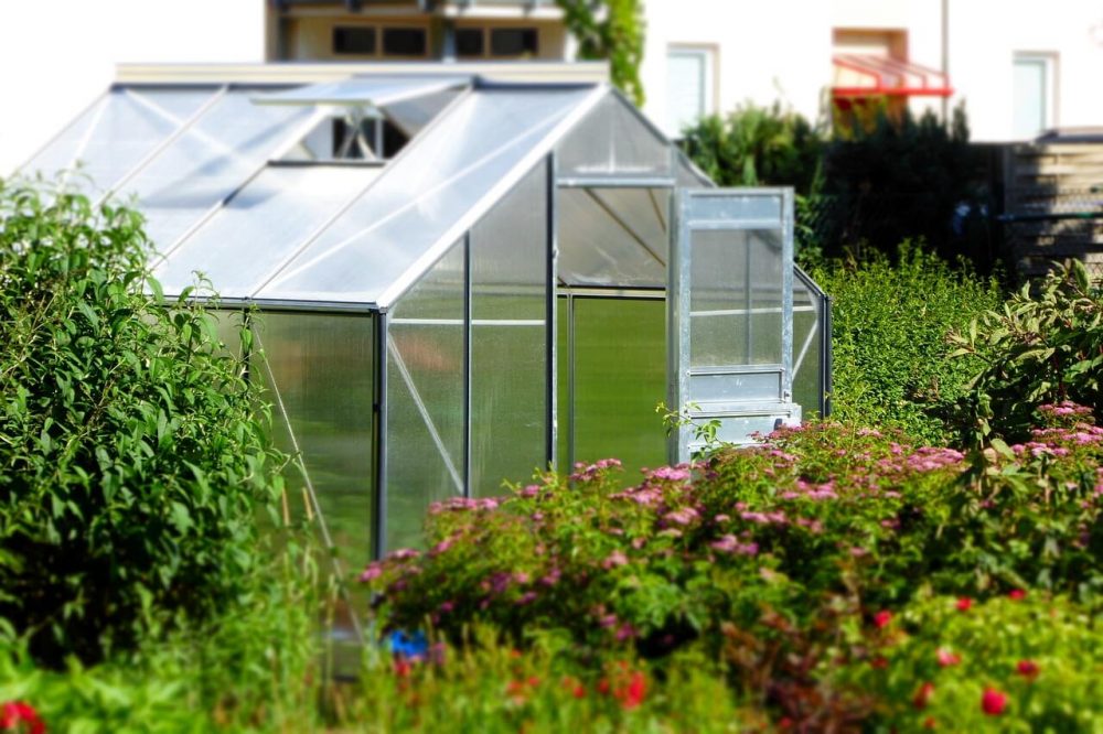 What is the Difference Between a Greenhouse and Hothouse?