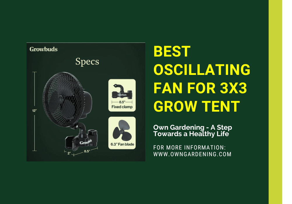 Best Oscillating Fan for 3x3 Grow Tent