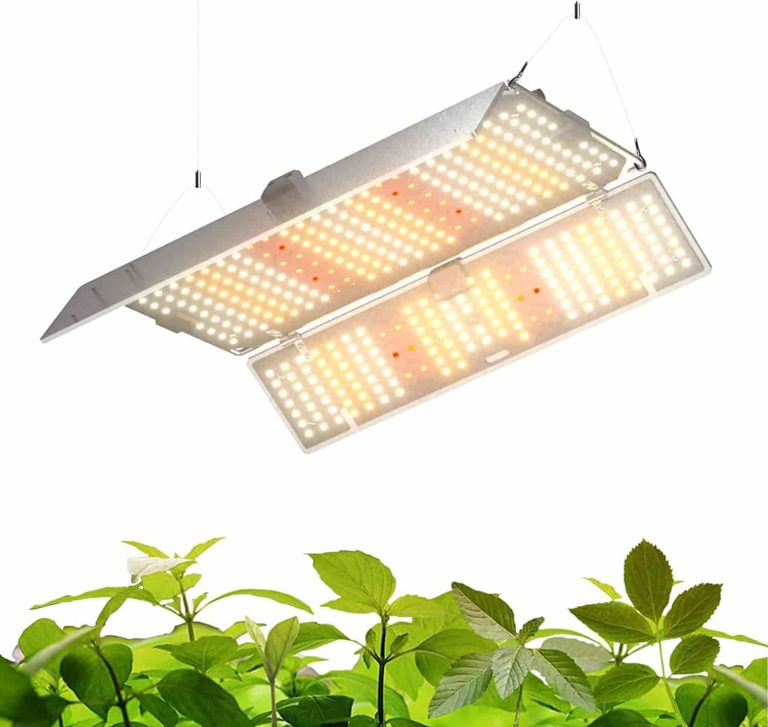 5 Best Inexpensive LED Grow Light for 4X4 Tent in 2023 Own Gardening