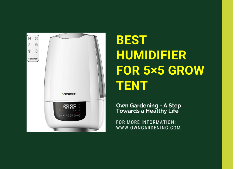 Best Humidifier For 5×5 Grow Tent