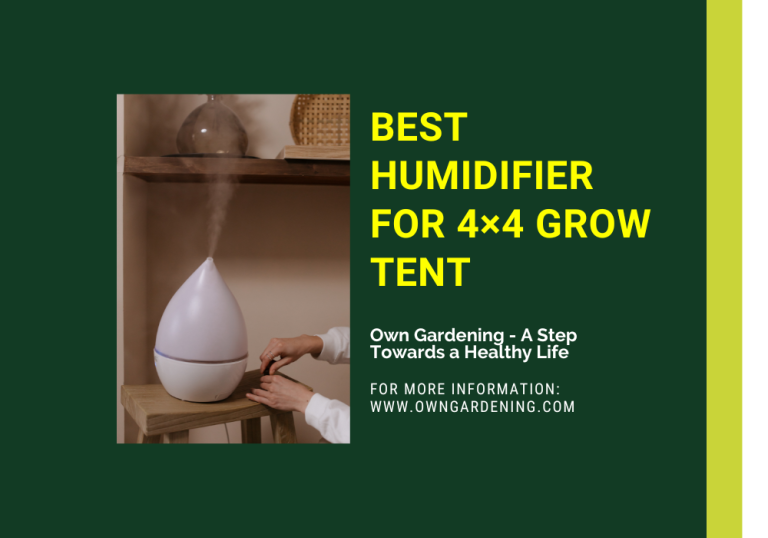 5 Best Humidifier for 4x4 Grow Tent & Grow Room in 2023 Own Gardening