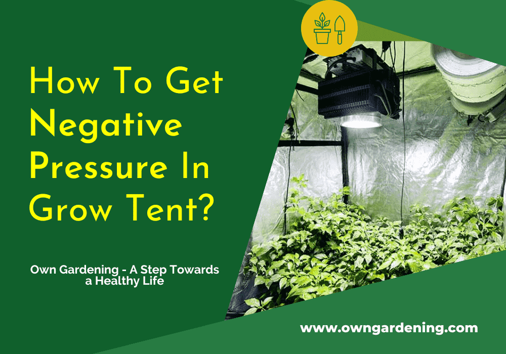 How To Get Negative Pressure In Grow Tent