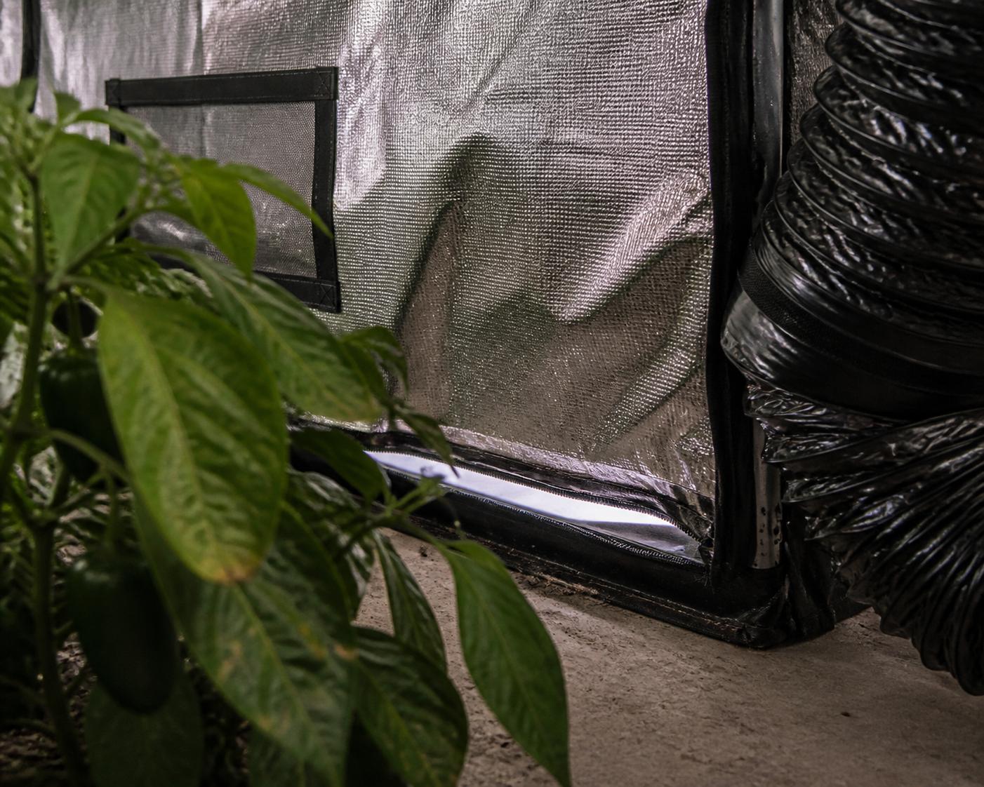 The Real Reason Odor Leaks Happen in Grow Tents