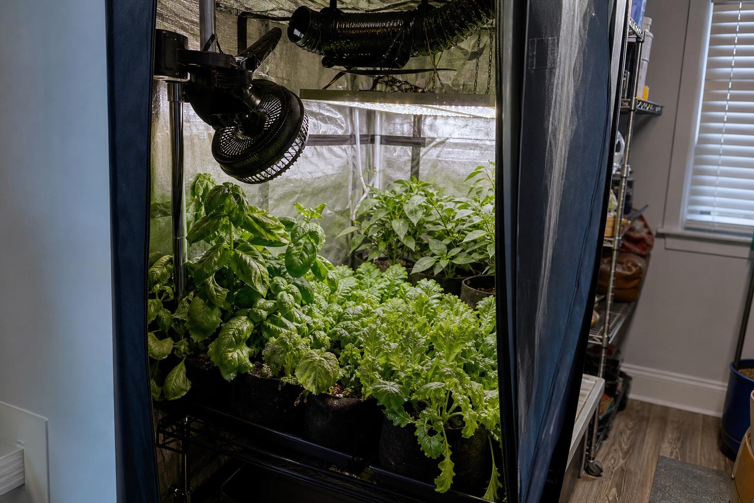 The Most Common Small Grow Tent Airflow Mistake